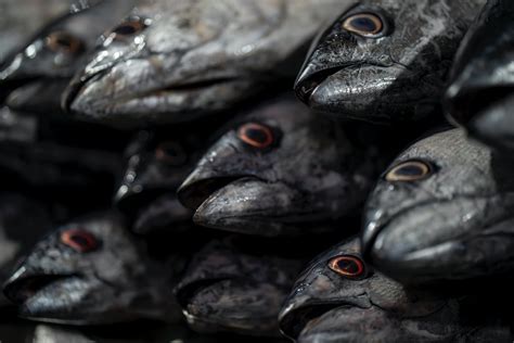 Nutrition Changes Can Help Slow Macular Degeneration | Wilmington Family Eye Care