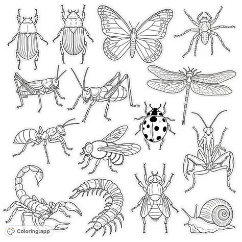 Intricate Entomology Doodle Page - Coloring.app