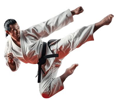 Ken Jutsu Shitoryu