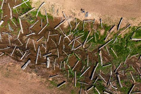 National Trust calls for climate change adaptation to be made legal ...
