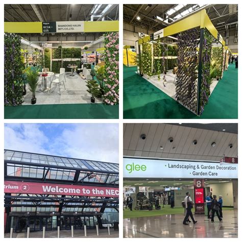 How to Choose the Best Privacy Screen Plant for Your Space