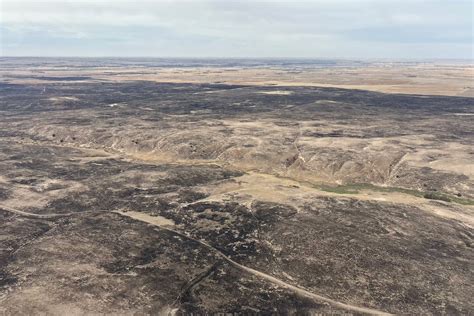 Emergency Management says over 40 structures have been destroyed due to ...