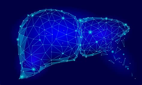 Your Liver and Brain Health Connection - Hotze Health & Wellness Center | Houston TX Hormone ...