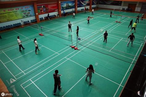 羽毛球 的图像结果