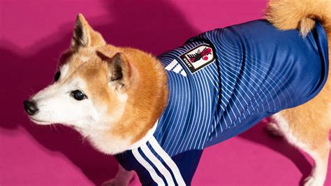 Adidas Launch FIFA World Cup 2026 Home Jersey Pet Collection