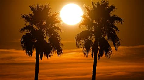 Arizona town shatters US temperature record for March
