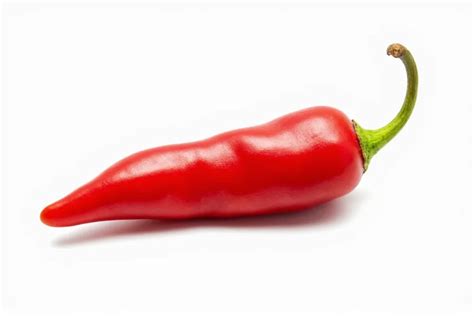 Chile Chiltepe: Wild Pepper Facts, Uses & Value Explained