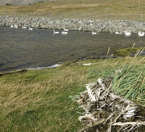 HVALNES NATURE RESERVE BEACH - All You Need to Know BEFORE You Go 2026 ...