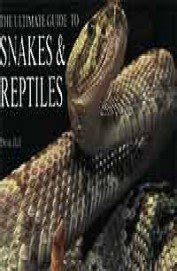 Snakes & Reptiles : Hall Derek: Amazon.in: Books