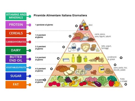 Image result for Food Pyramid Menu Pattern