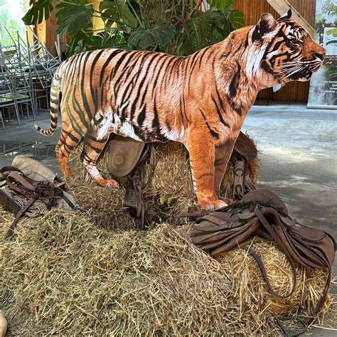 BIOPARQUE QUILLON (2026) All You Need to Know BEFORE You Go (with ...