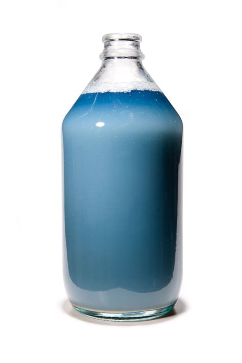 Horseshoe Crab Blood Cells