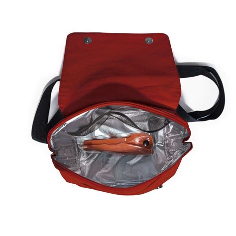 North face lunch tote online