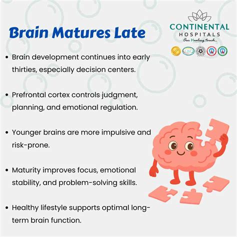 Brain Maturity: Why the Human Brain Fully Grows After 30