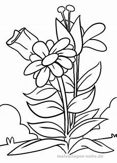 malvorlagen blumen malvorlage blume malvorlagen blumen ausmalbilder und malvorlagen blumen malvorlage blume malvorlagen blumen ausmalbilder und