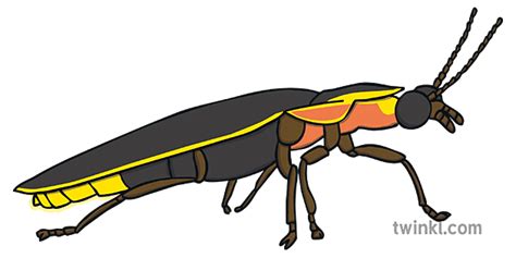 Natural Light Sources 的图像结果