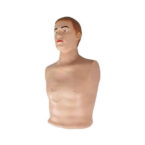 Buy Pericardial Puncture and Intracardiac Injection Simulator at Best ...