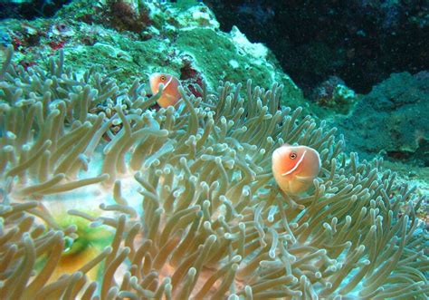 10 BEST Places to Visit in Solomon Islands - UPDATED 2022 (with Photos ...