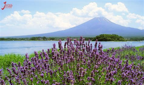 Kawaguchiko Natural Living Center - Japan Guide