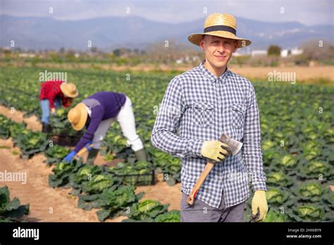 AX Tools 的图像结果