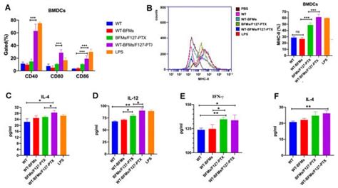 Multifunctional Modified Tumor Cell Membranes-Coated Adjuvant PTX ...
