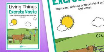 Living Things Excrete Waste Display Poster