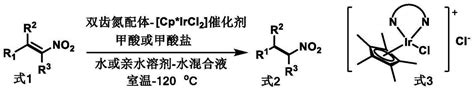 一种高选择性还原硝基烯烃C=C双键的方法_2