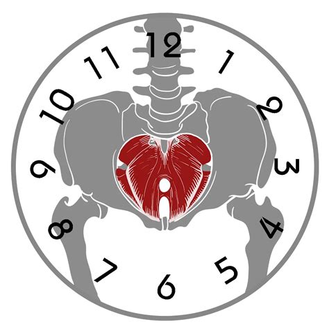 Pelvic Floor Breathing Exercises