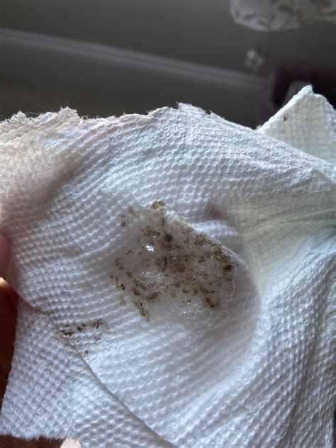 Smokers Cough Up Black Phlegm at Isaac Oppen blog