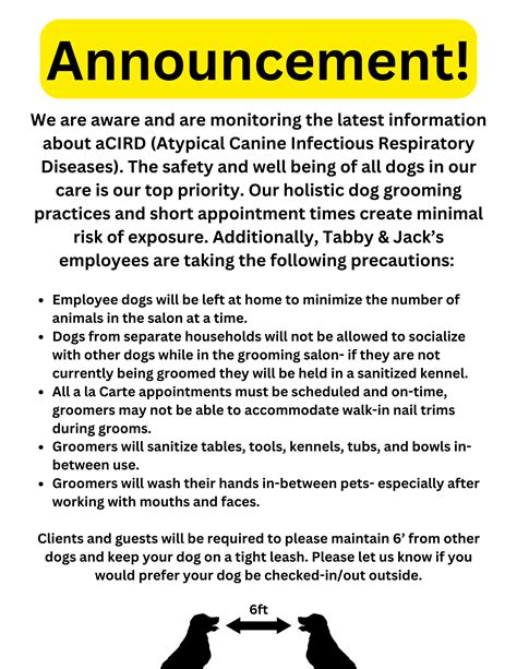 Grooming Services - Tabby & Jack's Pet Supplies and Grooming