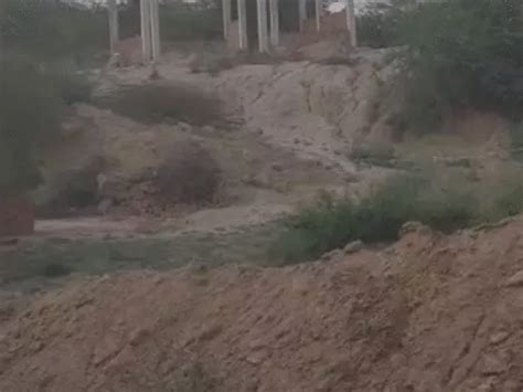 Sand Mafia Devastates Sindh River Banks in Bhind | Villages Submerged ...