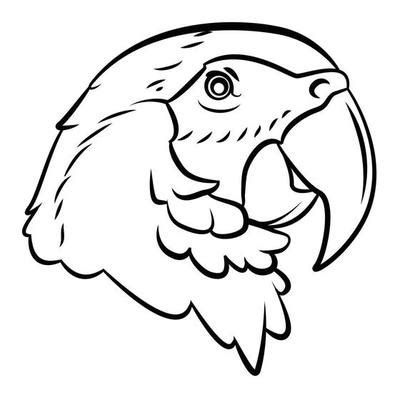 Image result for Parrot Simple Line Drawing Front Veiw