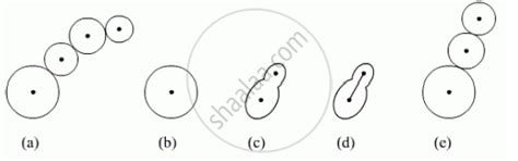In Rhizopus, tubular thread-like structures bearing sporangia at their ...