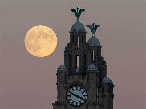 Luna llena hoy, 8 diciembre 2022: sus efectos sobre cada signo