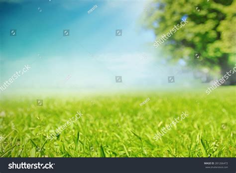 Image result for Statistics Project Report Example