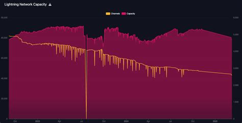 Lightning Network’s 20% Capacity Drop in 2025? Here’s Why It’s Actually ...