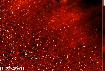 Image result for Alien Death Star