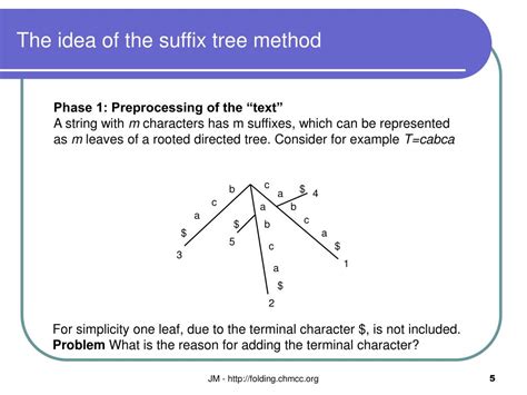 Dynamic Programming Bioinformatics 的图像结果