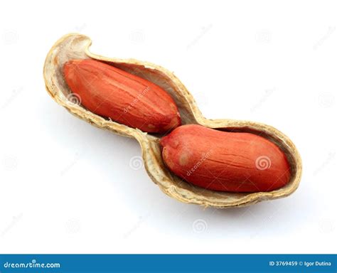 Roasted peanut shell stock image. Image of peanuts, baked - 3769459