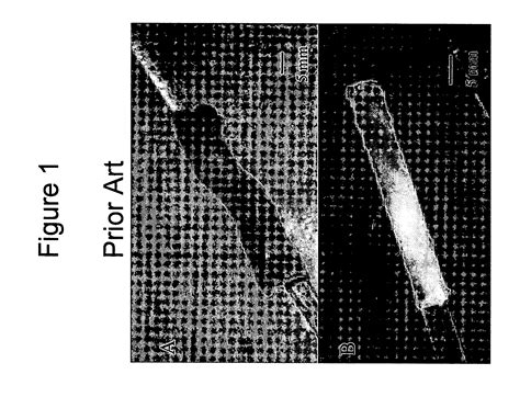 Substantially decellularized grafts from umbilical cord vessels and ...