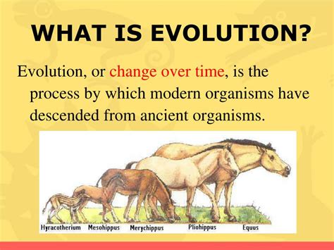 Define Evolution 的图像结果