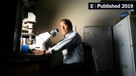 Urinary Tract Infections Affect Millions. The Cures Are Faltering. - The New York Times