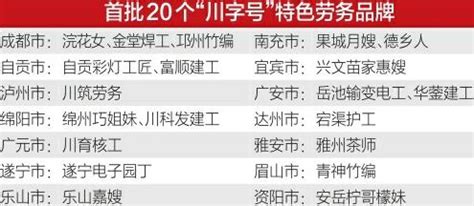 上半年四川16个重点领域产业成绩单出炉，有5个营收超2000亿元 - 川观新闻