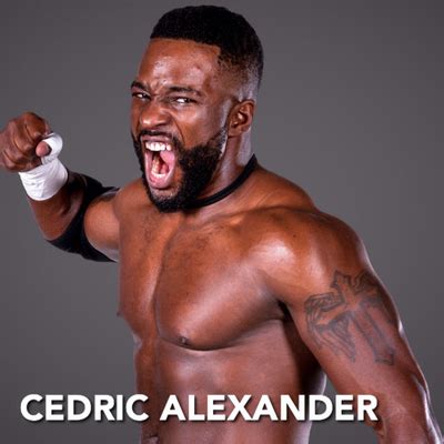 Image result for CWC Wrestling Game