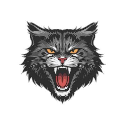 Image result for Angry Cat Scratch Vector