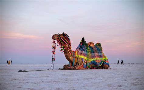 Phurr A travel and adventure group for 45 plus/Elderly/Senior citizens