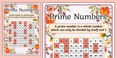 👉 Wildflower Themed Prime Numbers Display Poster - Twinkl