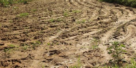 The Wire: The Wire News India, Latest News,News from India, Politics ...