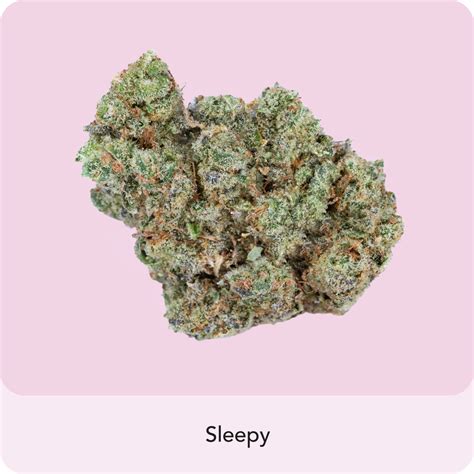 Jet Fuel Gelato - Hybrid Strain for Creativity & Relaxation – PurpleBreak