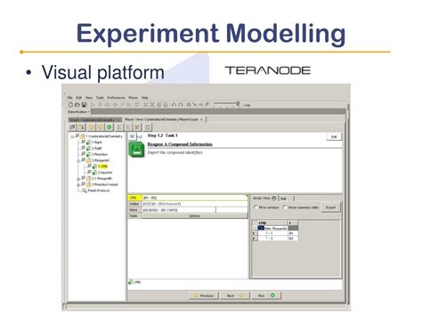 Experiment Computer Modelling 的图像结果